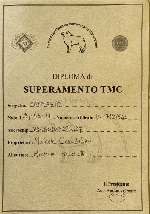 Cafaggio Diploma TMC