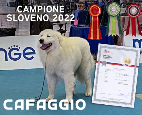 CAFAGGIO campione sloveno